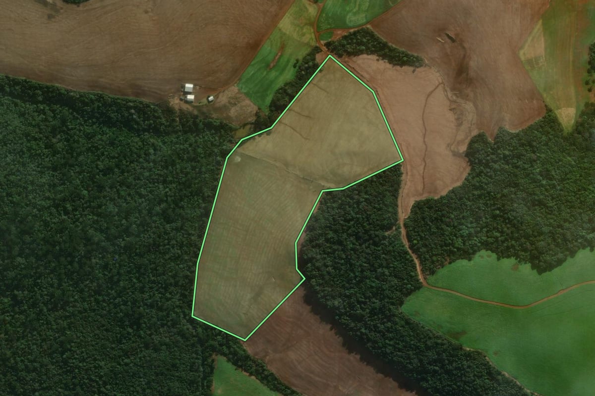 Imagem de satélite do imóvel rural em Mangueirinha (PR), com o contorno declarado no CAR desenhado por cima.