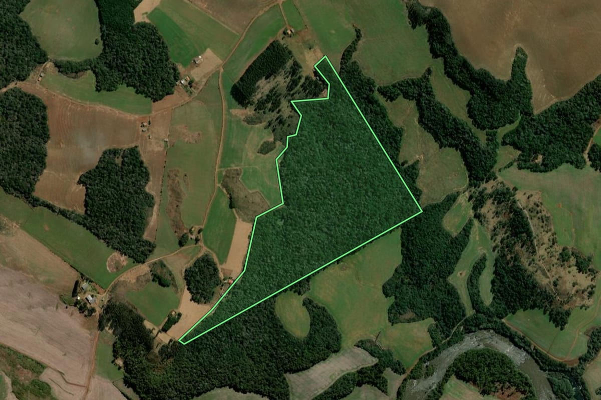 Imagem de satélite do imóvel rural em Mangueirinha (PR), com o contorno declarado no CAR desenhado por cima.