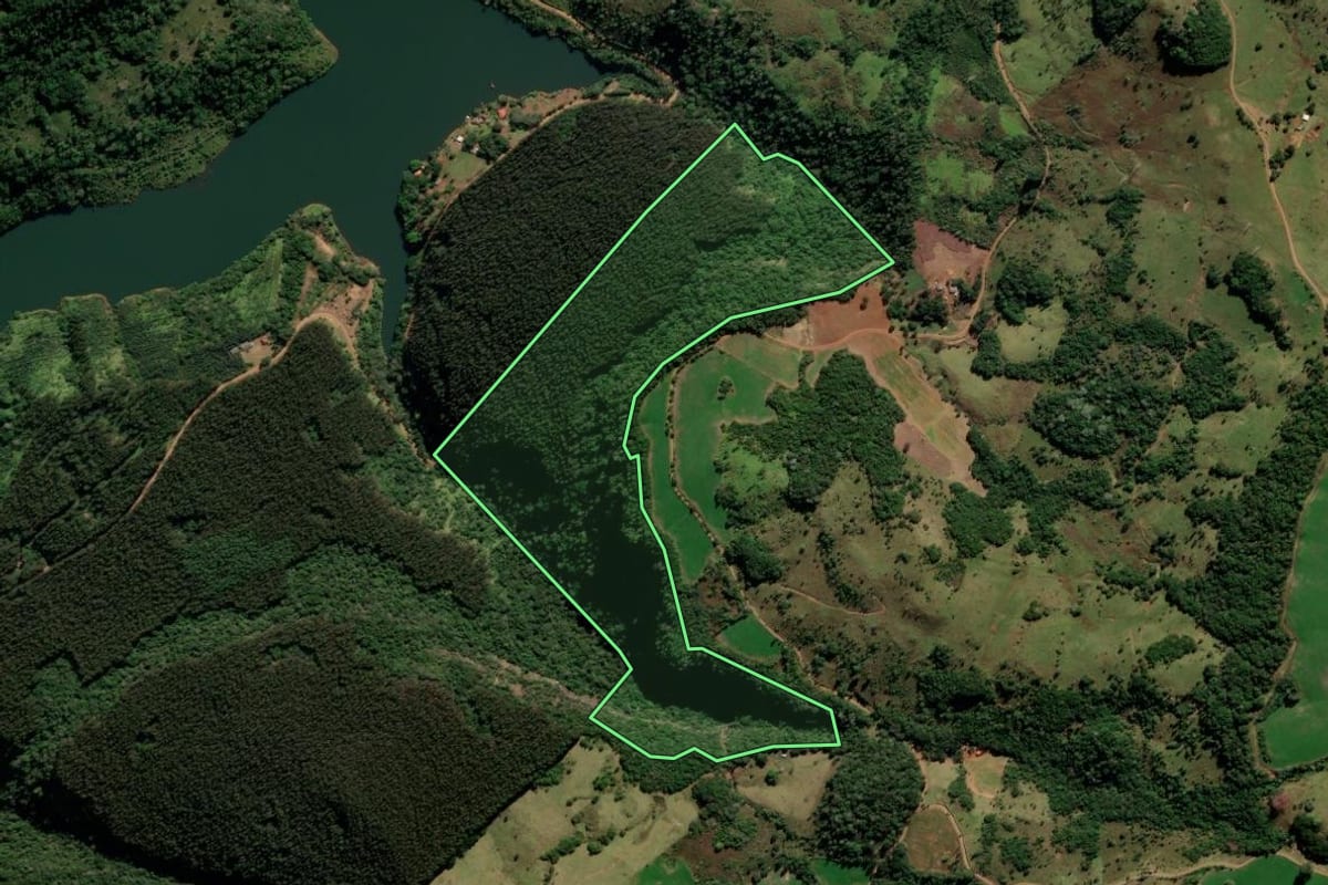 Imagem de satélite do imóvel rural em Mangueirinha (PR), com o contorno declarado no CAR desenhado por cima.