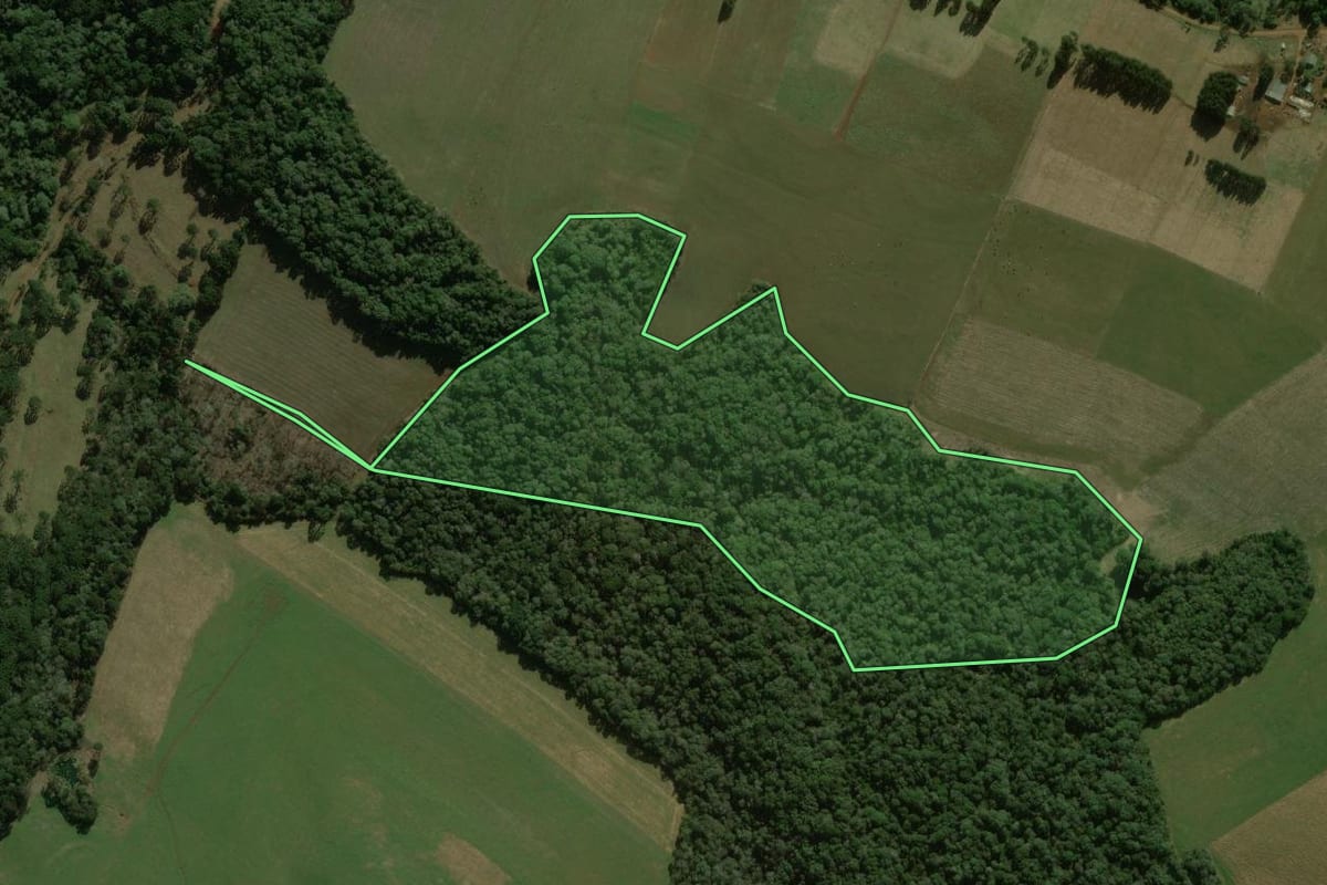 Imagem de satélite do imóvel rural em Mangueirinha (PR), com o contorno declarado no CAR desenhado por cima.
