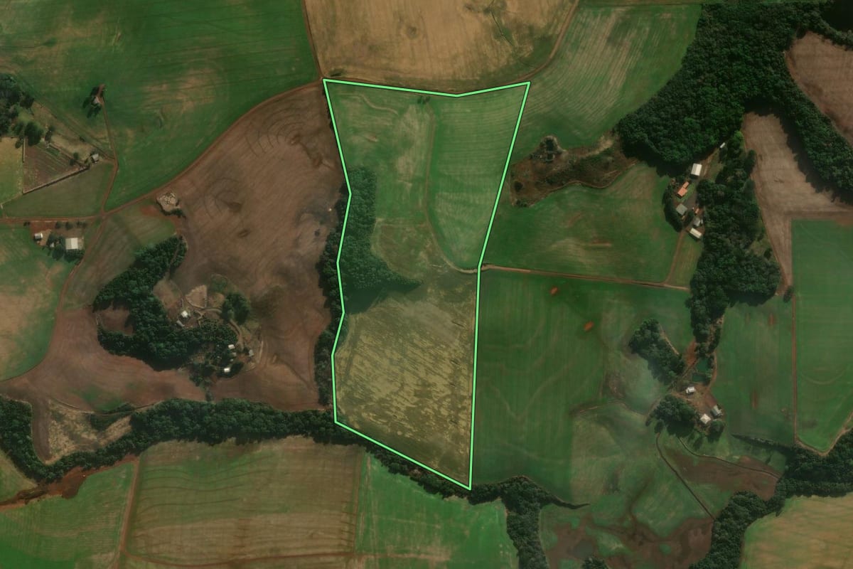 Imagem de satélite do imóvel rural em Mangueirinha (PR), com o contorno declarado no CAR desenhado por cima.