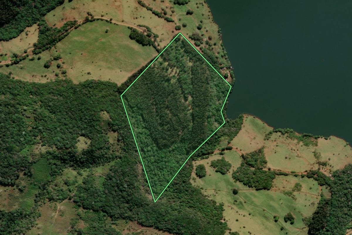Imagem de satélite do imóvel rural em Mangueirinha (PR), com o contorno declarado no CAR desenhado por cima.