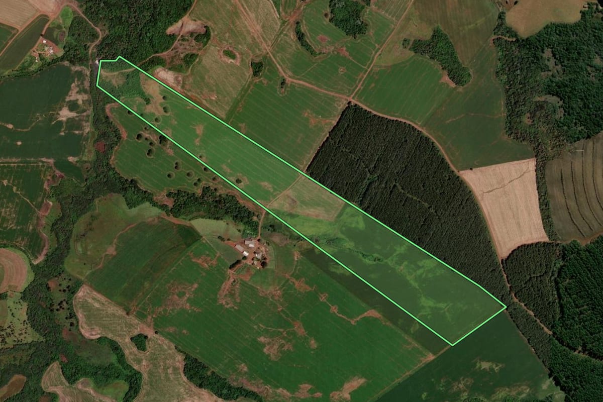 Imagem de satélite do imóvel rural em Mangueirinha (PR), com o contorno declarado no CAR desenhado por cima.