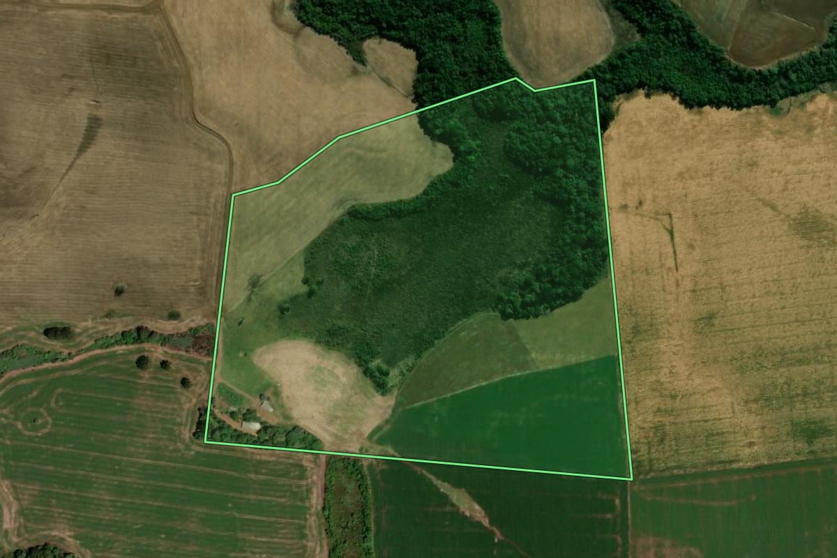 Imagem de satélite do imóvel rural em Mangueirinha (PR), com o contorno declarado no CAR desenhado por cima.