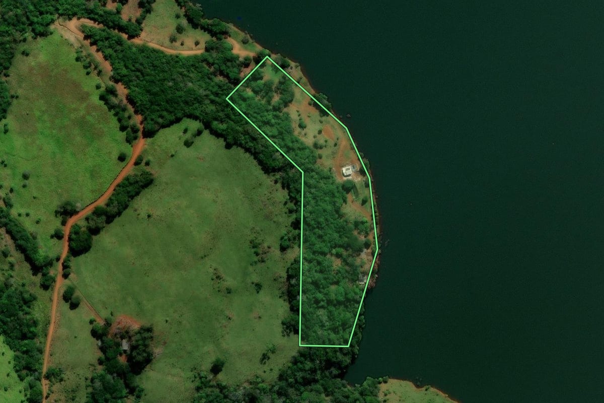 Imagem de satélite do imóvel rural em Mangueirinha (PR), com o contorno declarado no CAR desenhado por cima.