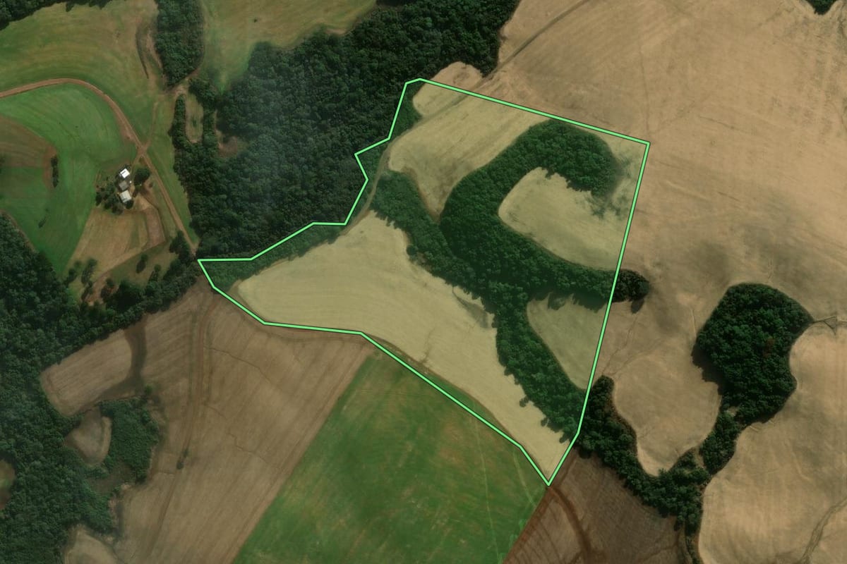 Imagem de satélite do imóvel rural em Mangueirinha (PR), com o contorno declarado no CAR desenhado por cima.