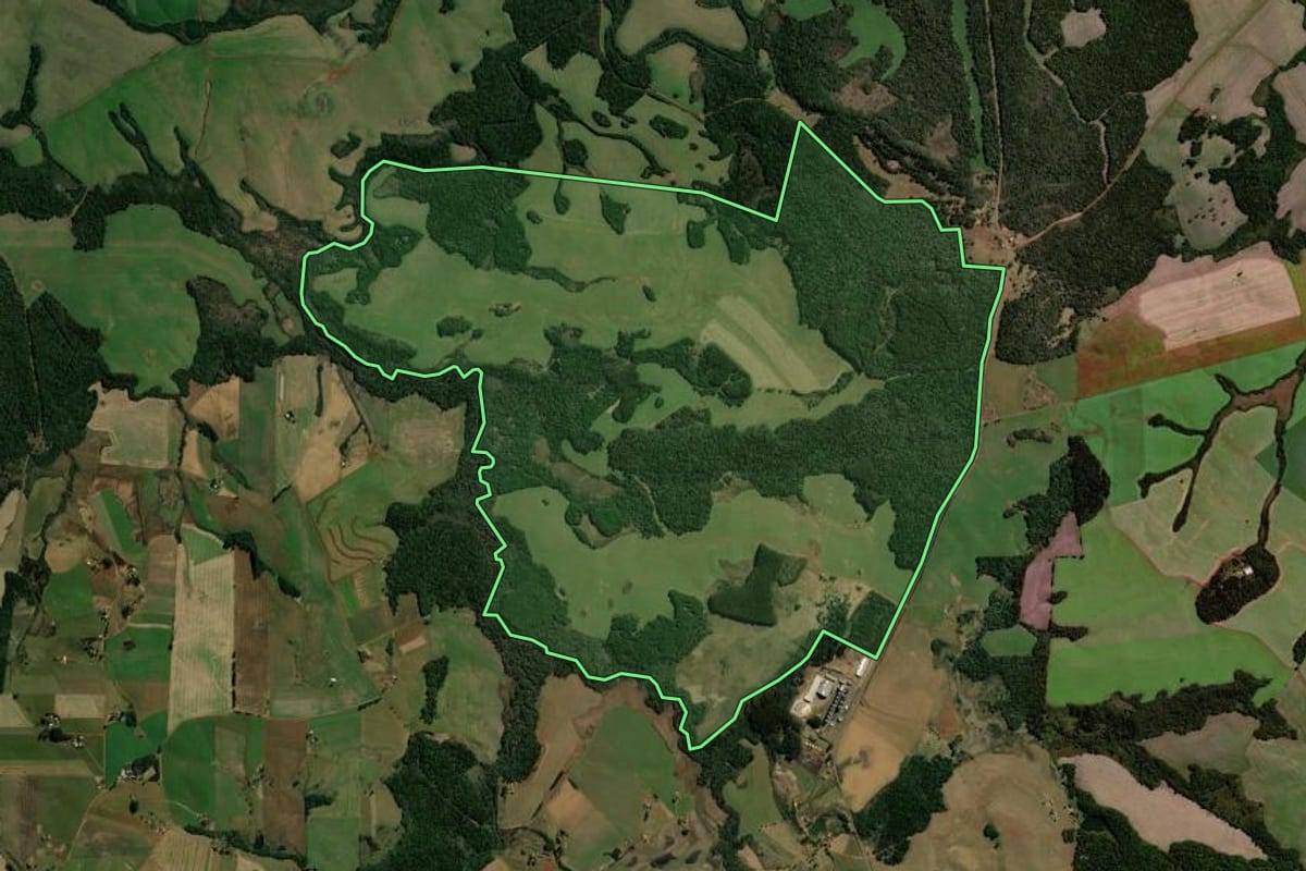 Imagem de satélite do imóvel rural em Mangueirinha (PR), com o contorno declarado no CAR desenhado por cima.