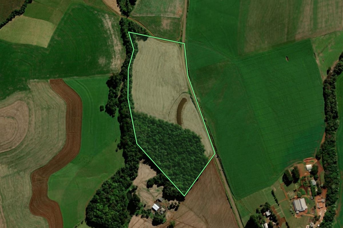 Imagem de satélite do imóvel rural em Mangueirinha (PR), com o contorno declarado no CAR desenhado por cima.