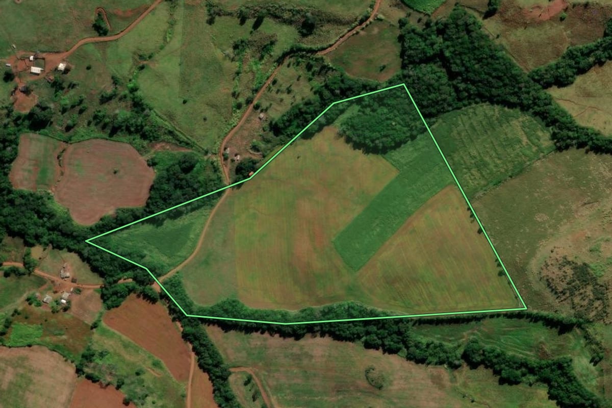 Imagem de satélite do imóvel rural em Mangueirinha (PR), com o contorno declarado no CAR desenhado por cima.
