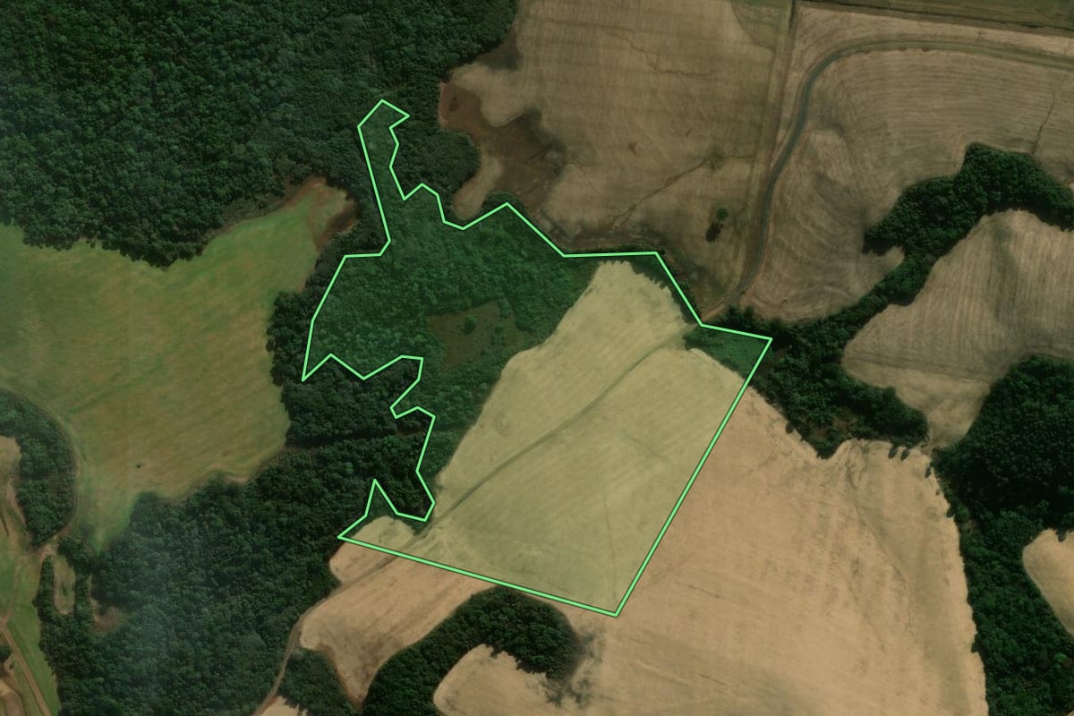 Imagem de satélite do imóvel rural em Mangueirinha (PR), com o contorno declarado no CAR desenhado por cima.