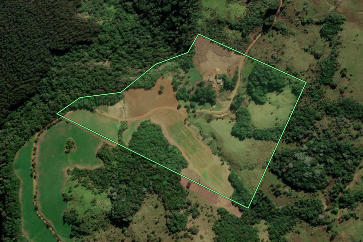 Imagem de satélite do imóvel rural em Mangueirinha (PR), com o contorno declarado no CAR desenhado por cima.
