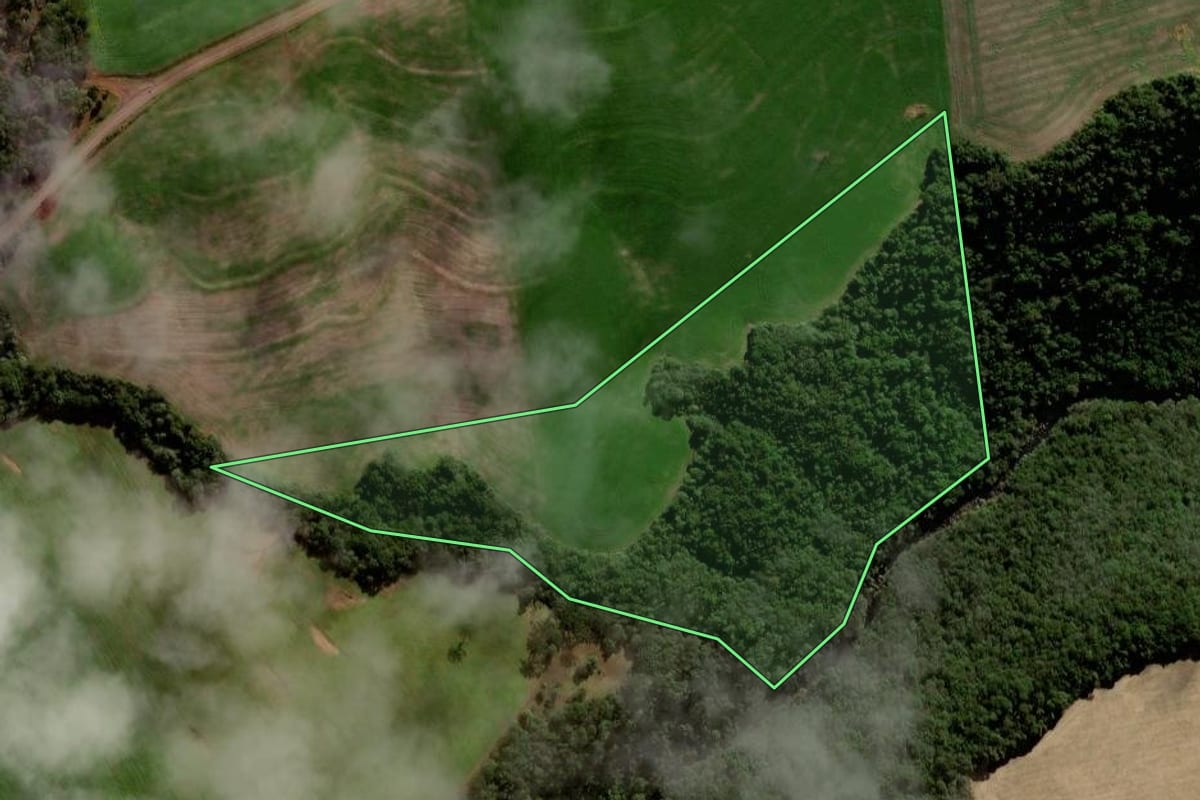 Imagem de satélite do imóvel rural em Mangueirinha (PR), com o contorno declarado no CAR desenhado por cima.