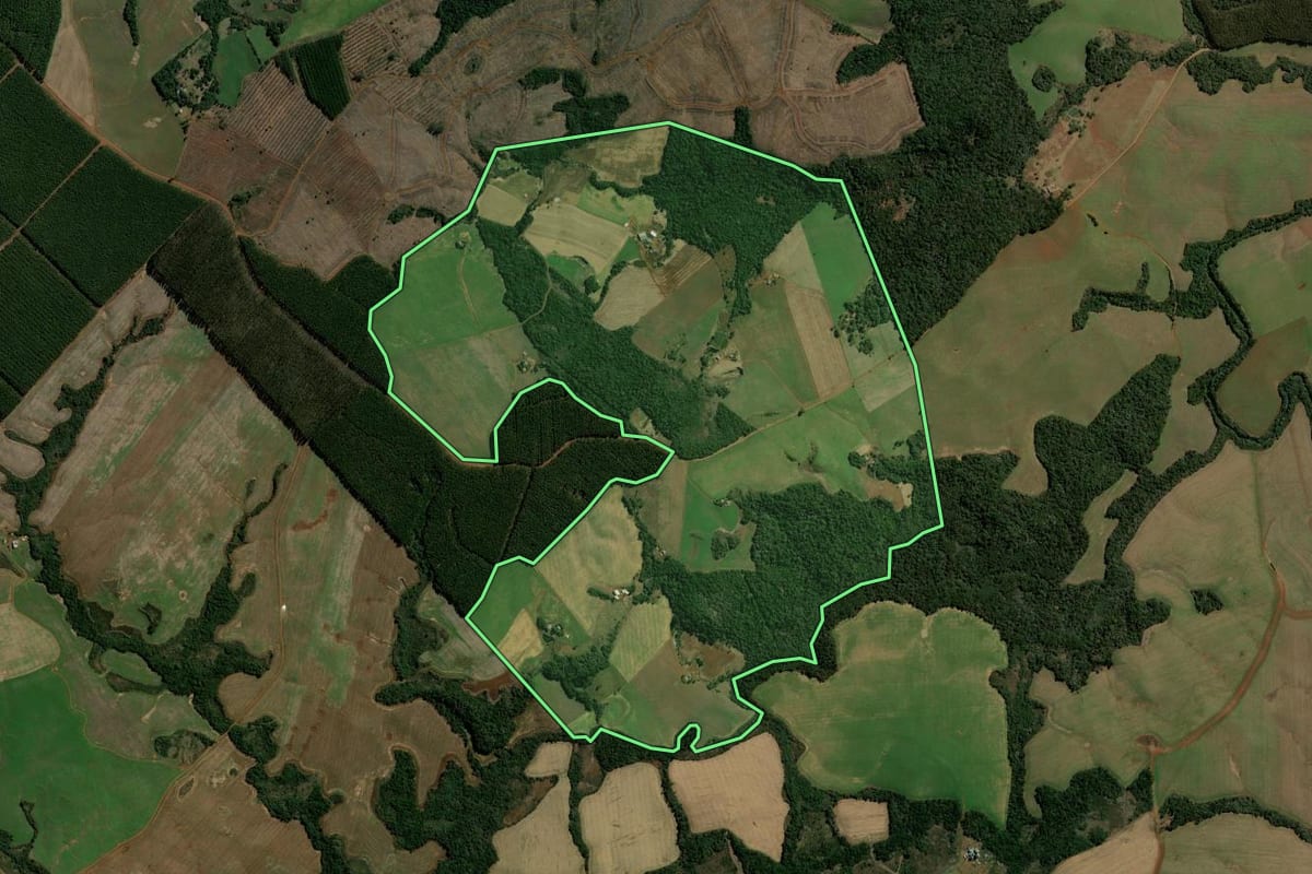 Imagem de satélite do imóvel rural em Mangueirinha (PR), com o contorno declarado no CAR desenhado por cima.
