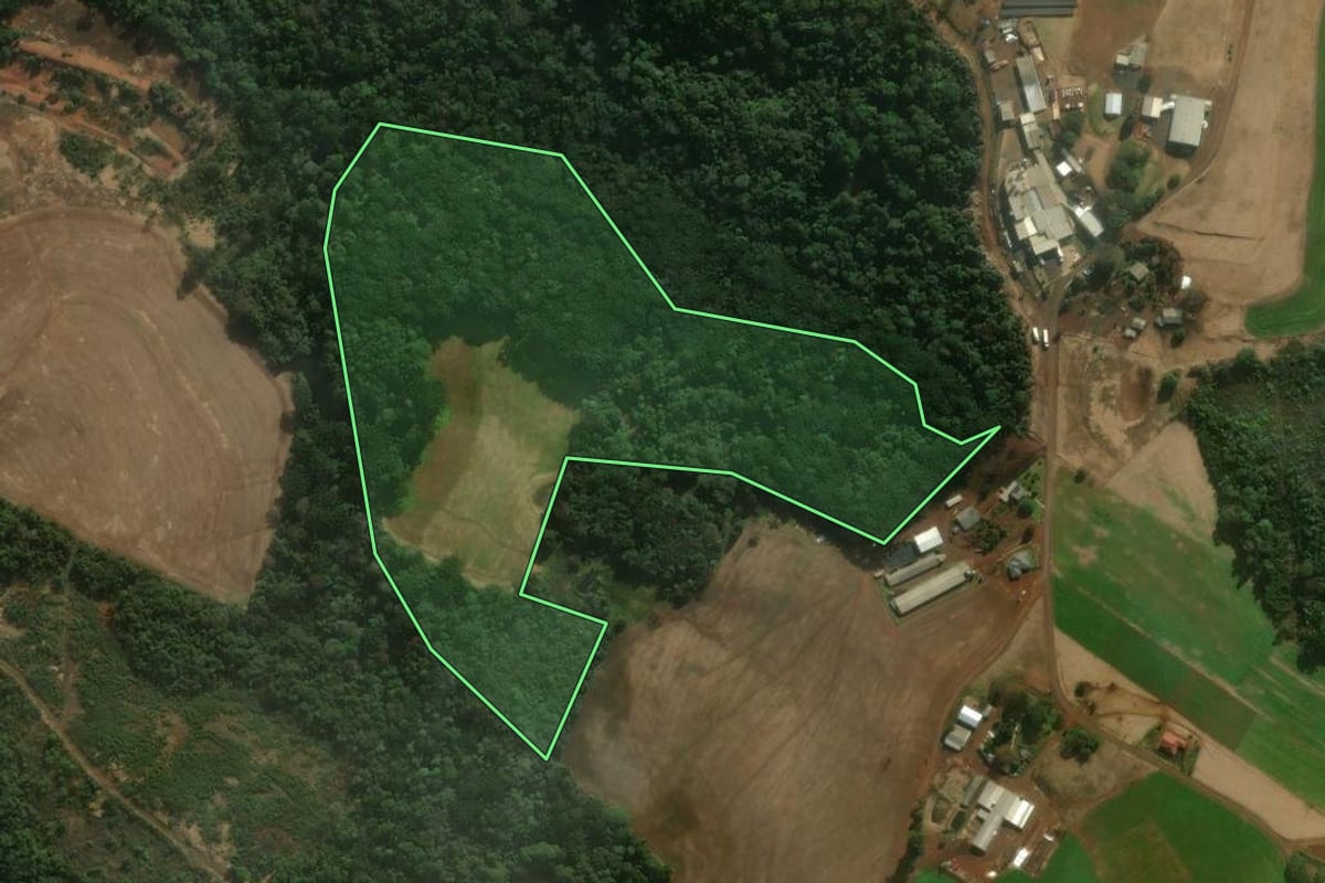 Imagem de satélite do imóvel rural em Mangueirinha (PR), com o contorno declarado no CAR desenhado por cima.