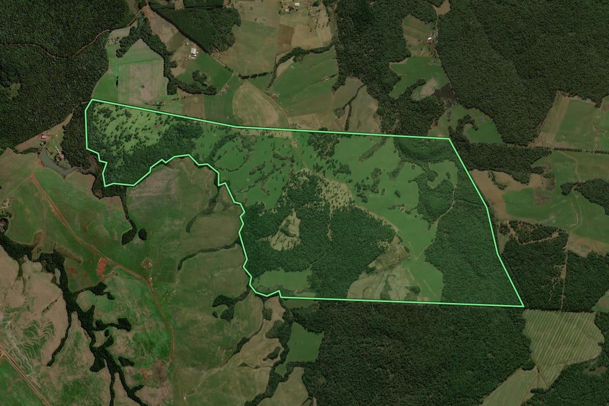 Imagem de satélite do imóvel rural em Mangueirinha (PR), com o contorno declarado no CAR desenhado por cima.