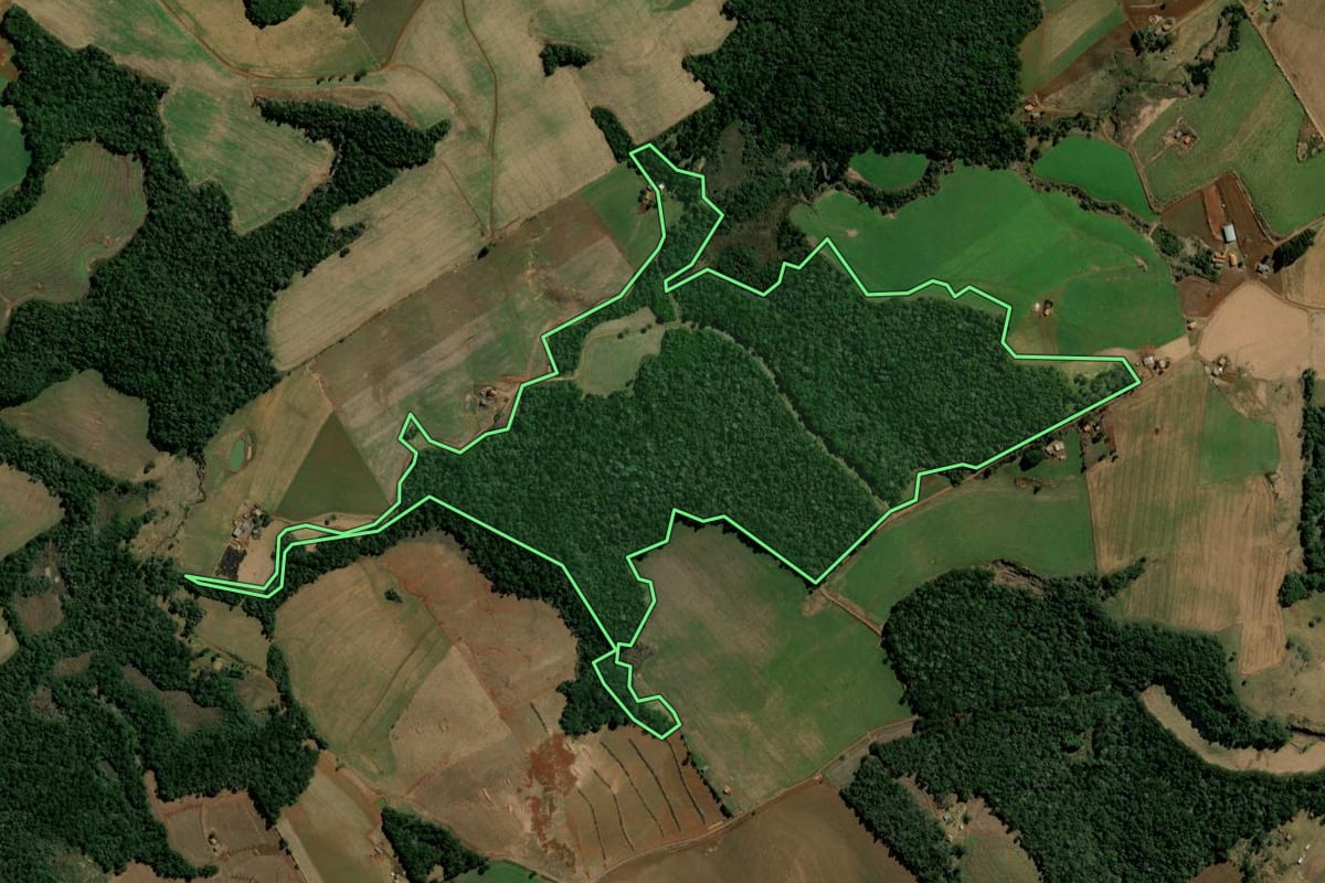 Imagem de satélite do imóvel rural em Mangueirinha (PR), com o contorno declarado no CAR desenhado por cima.