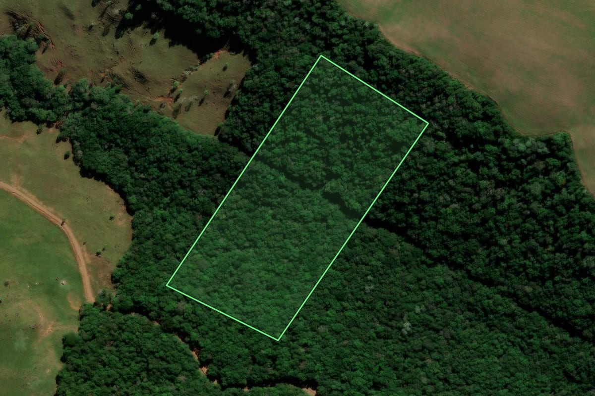 Imagem de satélite do imóvel rural em Mangueirinha (PR), com o contorno declarado no CAR desenhado por cima.