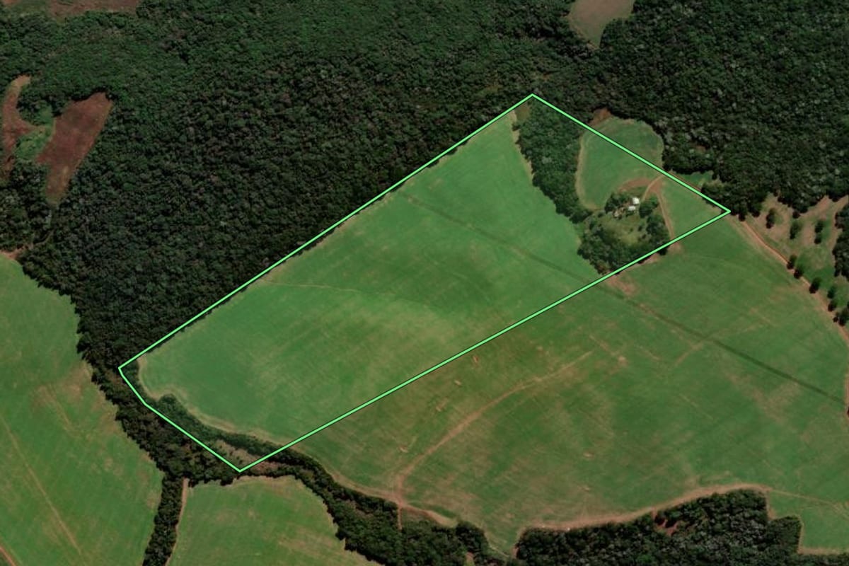 Imagem de satélite do imóvel rural em Mangueirinha (PR), com o contorno declarado no CAR desenhado por cima.