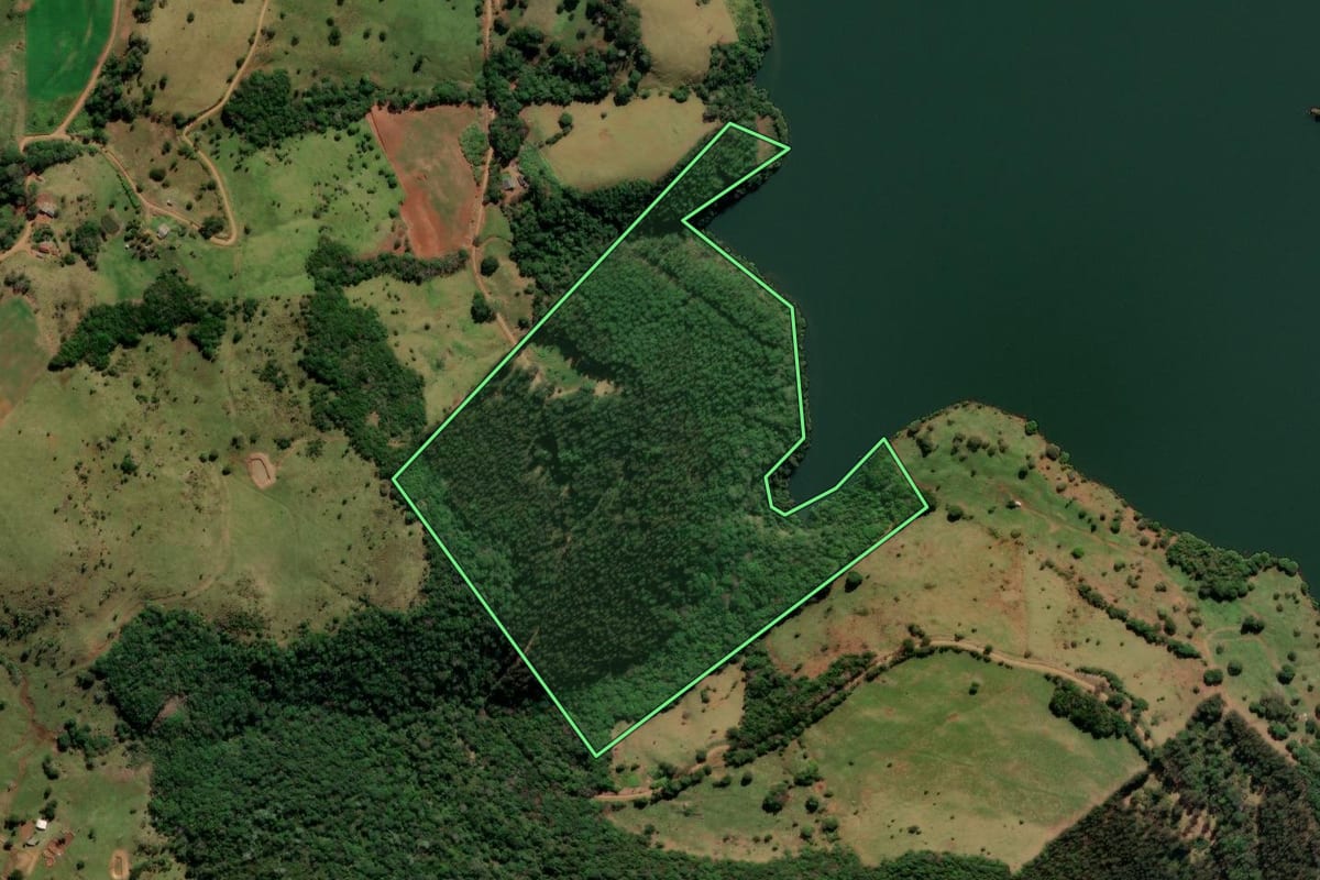 Imagem de satélite do imóvel rural em Mangueirinha (PR), com o contorno declarado no CAR desenhado por cima.
