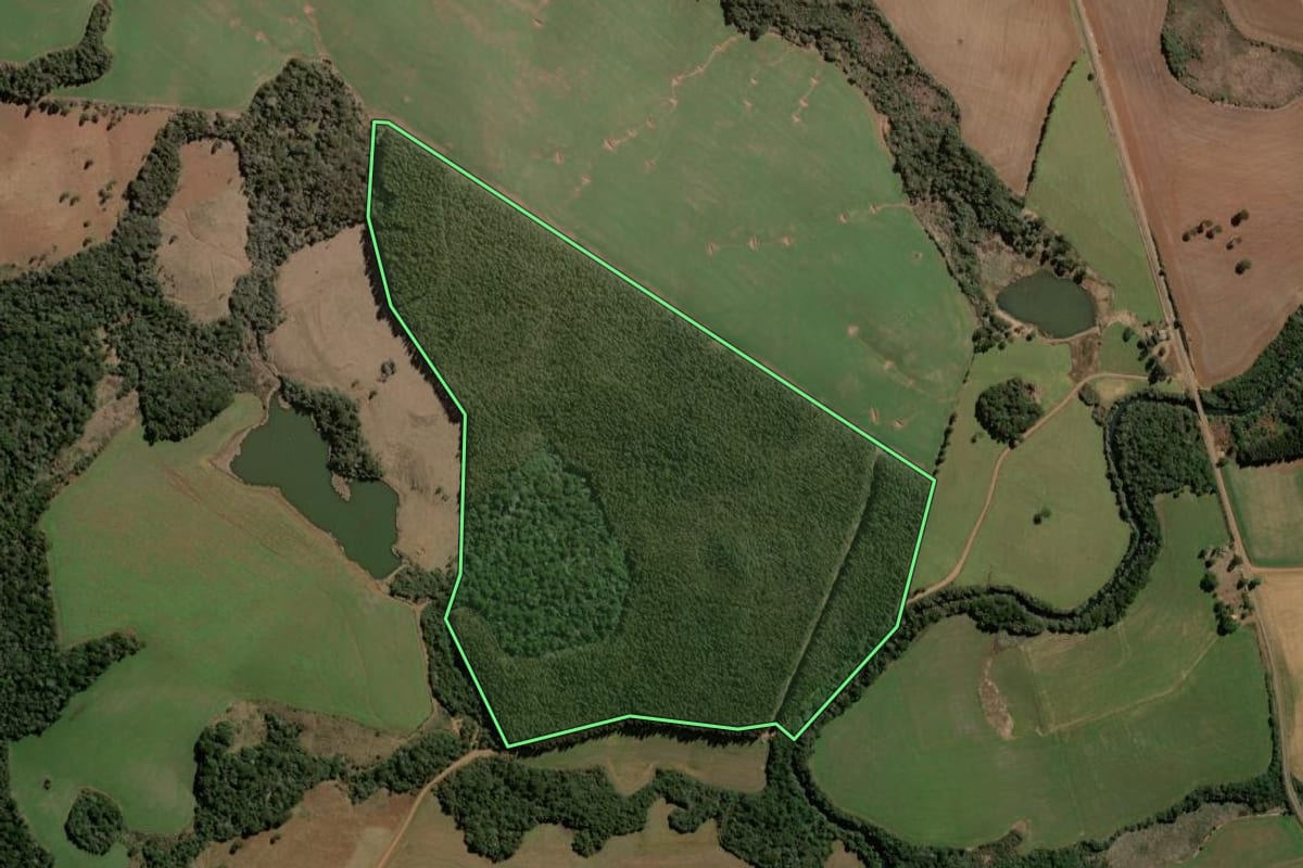 Imagem de satélite do imóvel rural em Mangueirinha (PR), com o contorno declarado no CAR desenhado por cima.