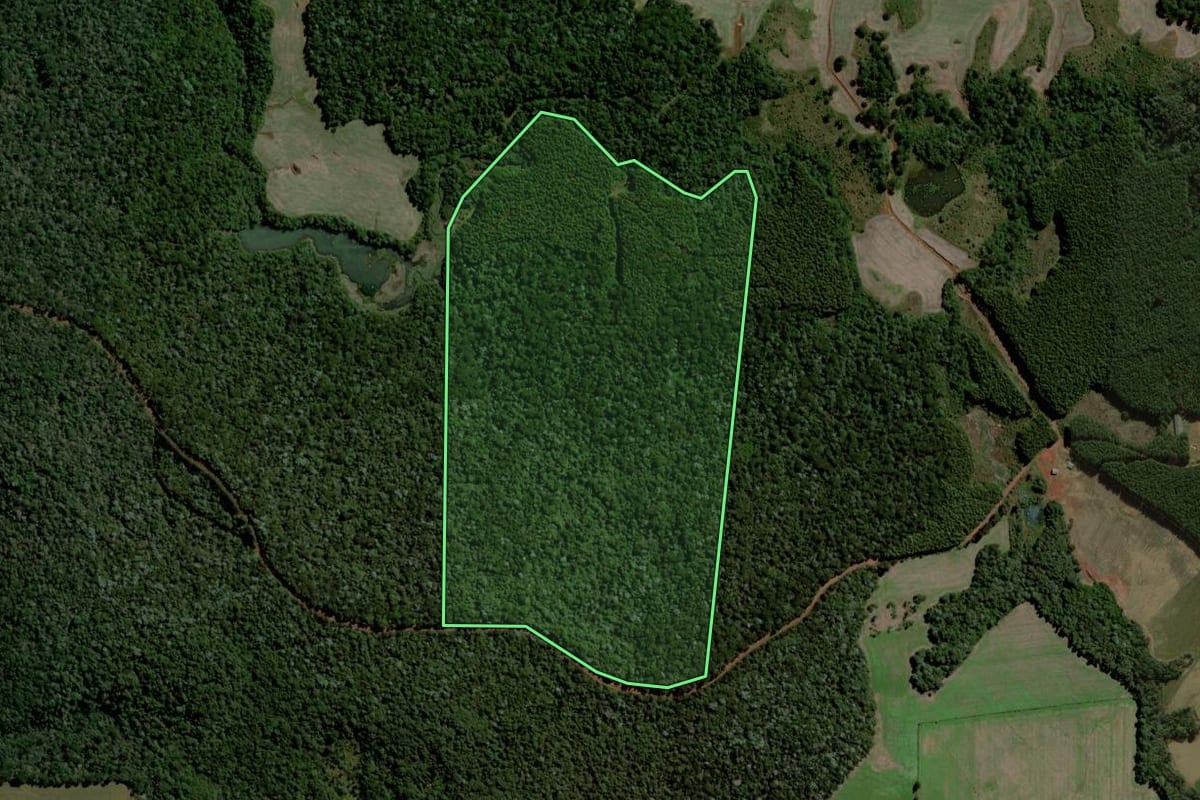 Imagem de satélite do imóvel rural em Mangueirinha (PR), com o contorno declarado no CAR desenhado por cima.