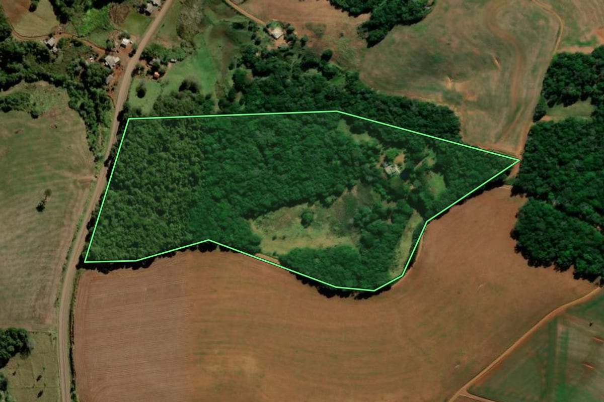 Imagem de satélite do imóvel rural em Mangueirinha (PR), com o contorno declarado no CAR desenhado por cima.