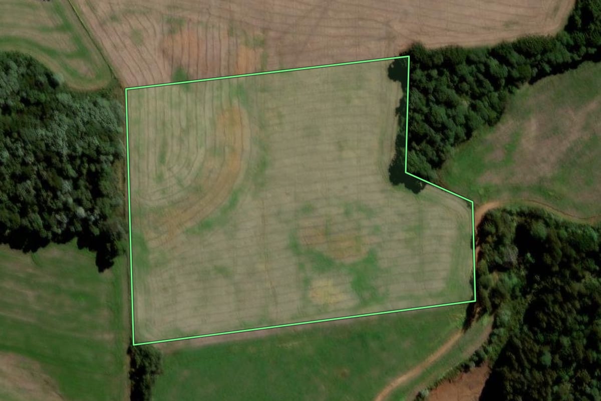 Imagem de satélite do imóvel rural em Mangueirinha (PR), com o contorno declarado no CAR desenhado por cima.
