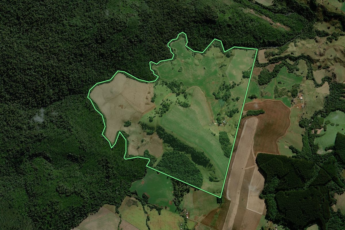 Imagem de satélite do imóvel rural em Mangueirinha (PR), com o contorno declarado no CAR desenhado por cima.