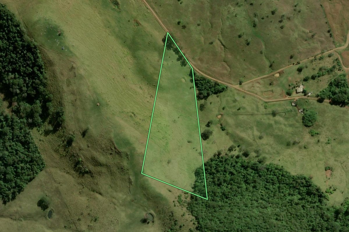 Imagem de satélite do imóvel rural em Manoel Ribas (PR), com o contorno declarado no CAR desenhado por cima.