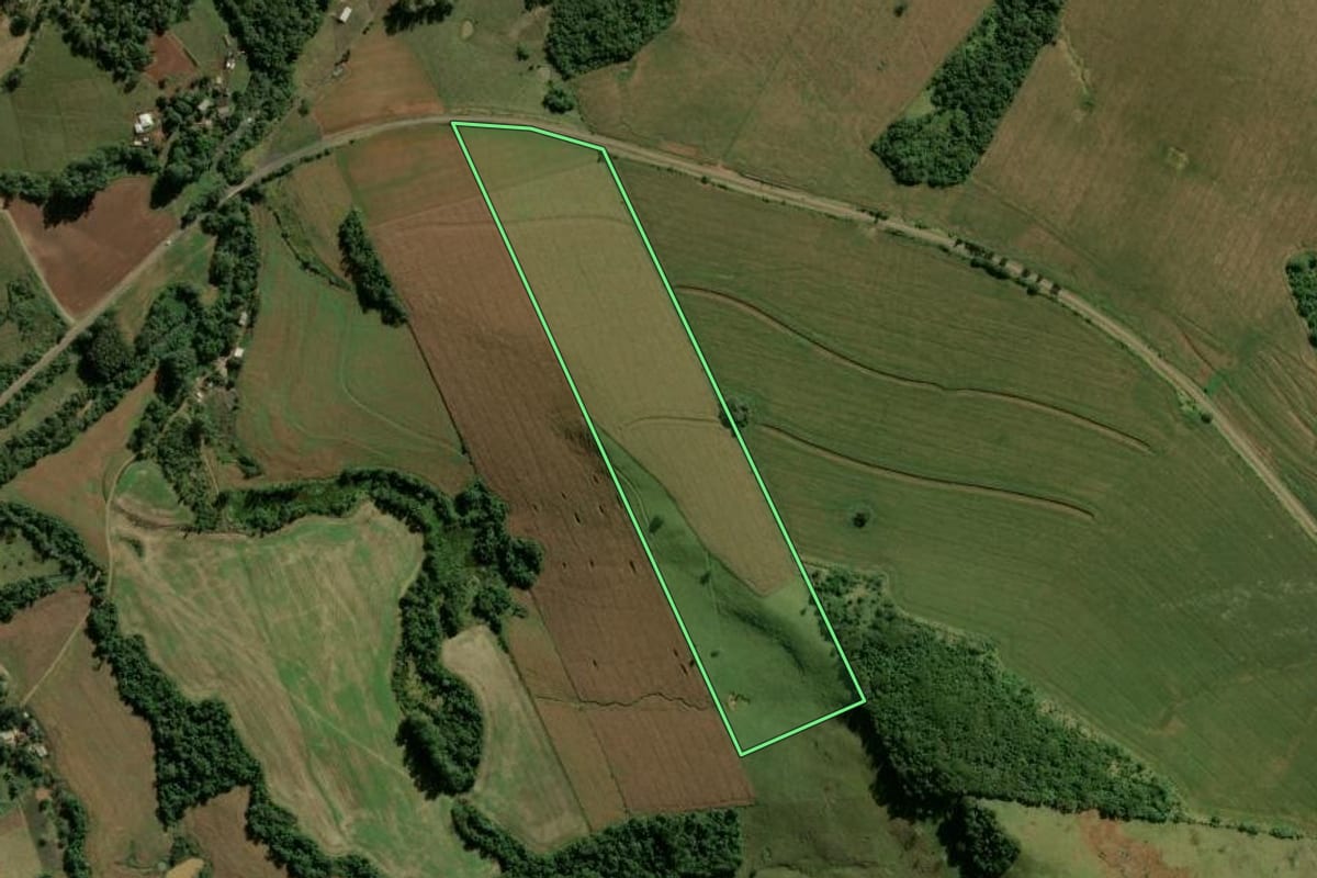 Imagem de satélite do imóvel rural em Manoel Ribas (PR), com o contorno declarado no CAR desenhado por cima.