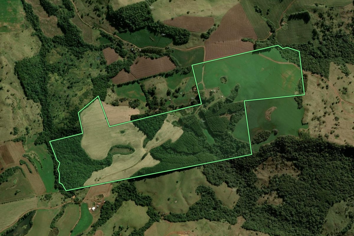Imagem de satélite do imóvel rural em Manoel Ribas (PR), com o contorno declarado no CAR desenhado por cima.