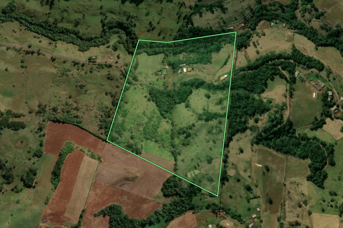 Imagem de satélite do imóvel rural em Manoel Ribas (PR), com o contorno declarado no CAR desenhado por cima.