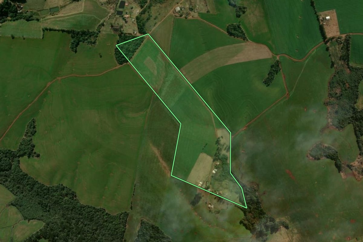 Imagem de satélite do imóvel rural em Manoel Ribas (PR), com o contorno declarado no CAR desenhado por cima.