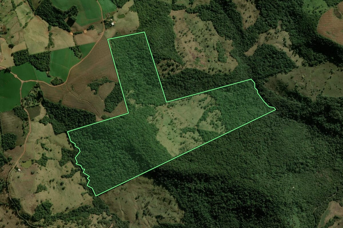 Imagem de satélite do imóvel rural em Manoel Ribas (PR), com o contorno declarado no CAR desenhado por cima.