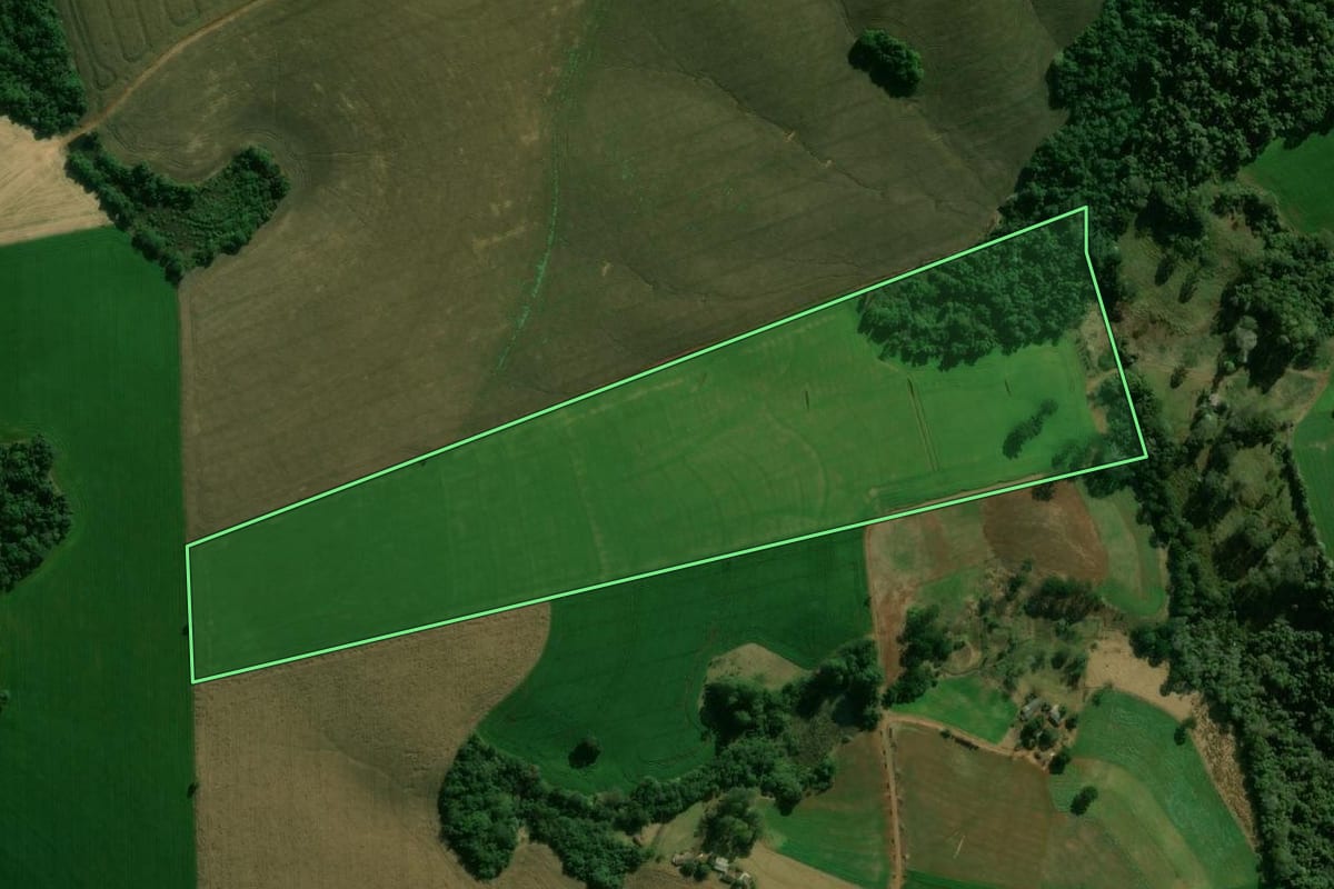 Imagem de satélite do imóvel rural em Manoel Ribas (PR), com o contorno declarado no CAR desenhado por cima.