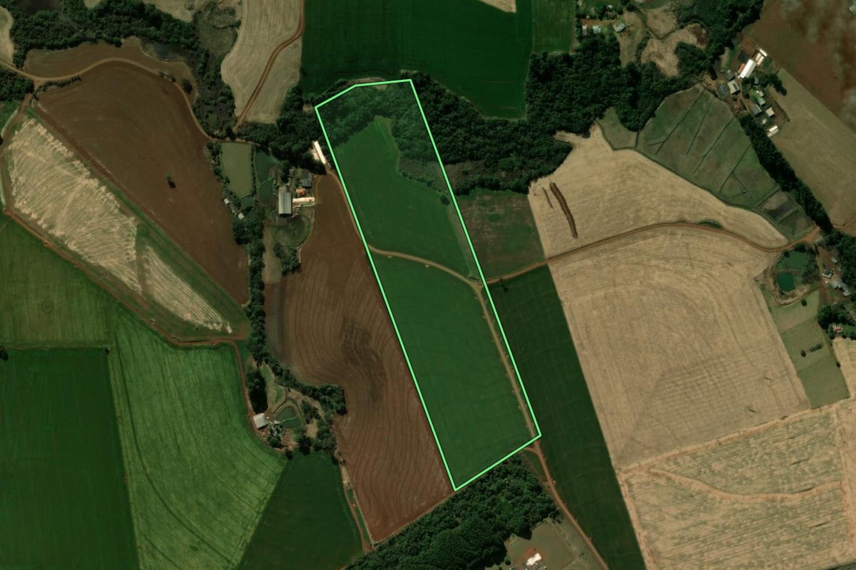 Imagem de satélite do imóvel rural em Manoel Ribas (PR), com o contorno declarado no CAR desenhado por cima.