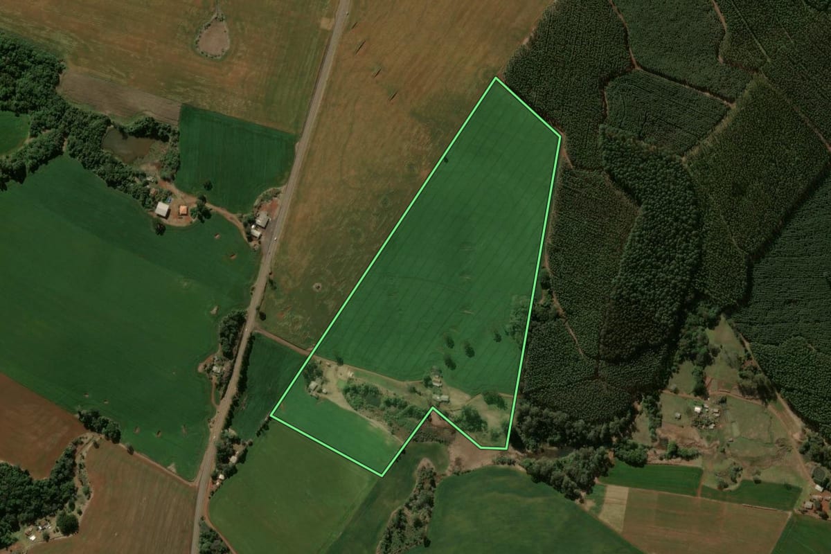 Imagem de satélite do imóvel rural em Manoel Ribas (PR), com o contorno declarado no CAR desenhado por cima.
