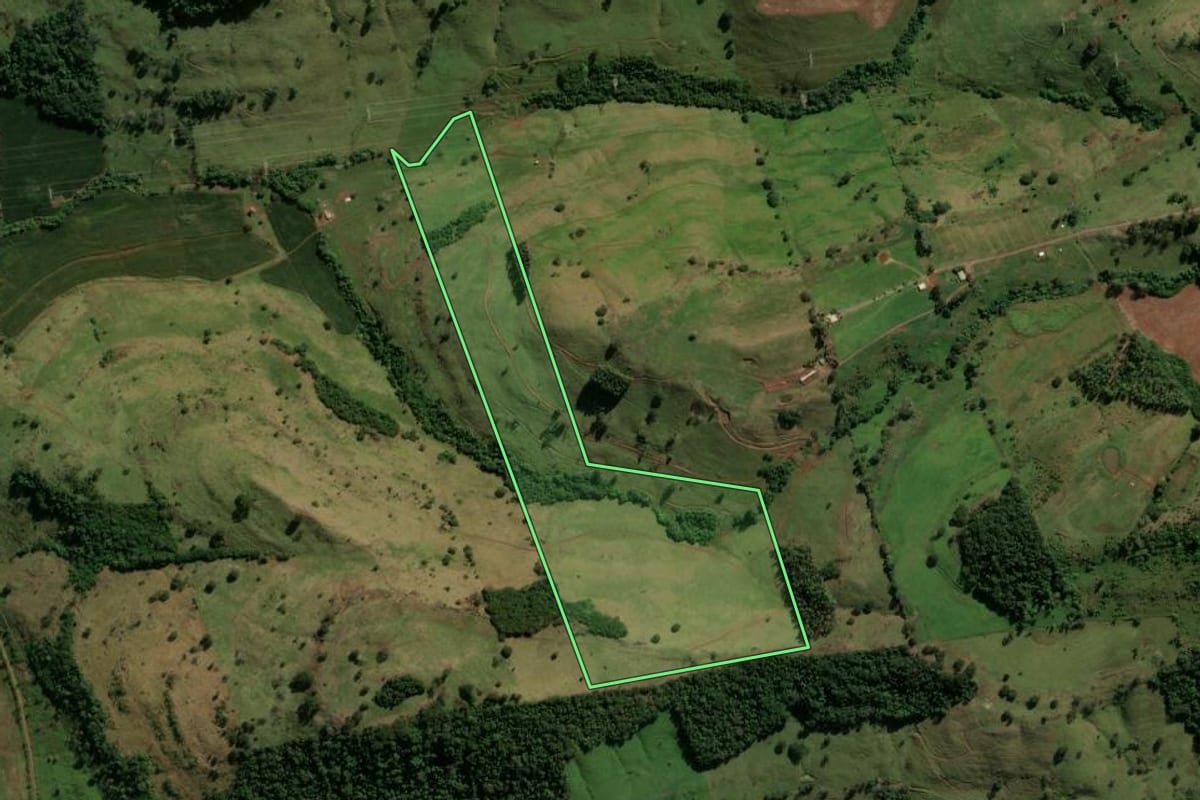 Imagem de satélite do imóvel rural em Manoel Ribas (PR), com o contorno declarado no CAR desenhado por cima.