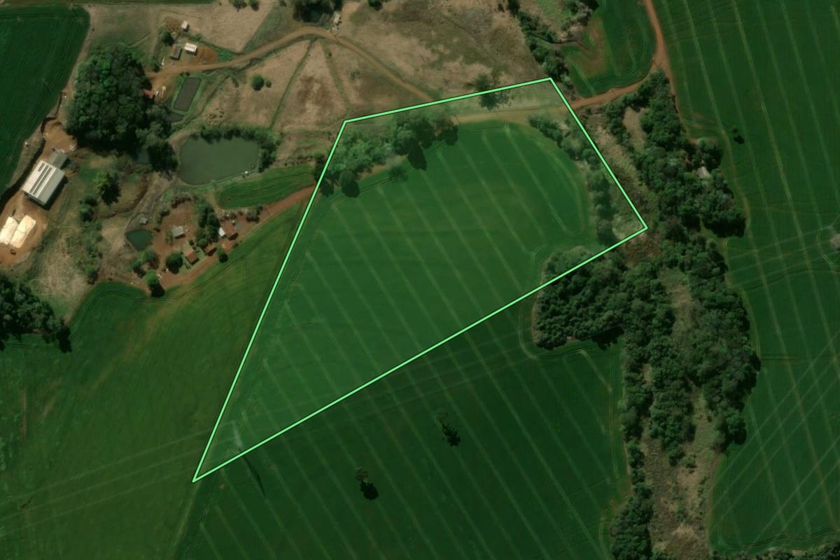 Imagem de satélite do imóvel rural em Manoel Ribas (PR), com o contorno declarado no CAR desenhado por cima.