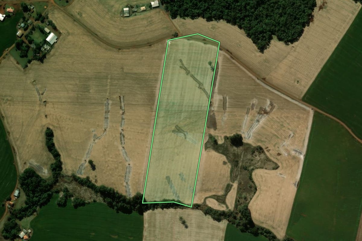 Imagem de satélite do imóvel rural em Manoel Ribas (PR), com o contorno declarado no CAR desenhado por cima.