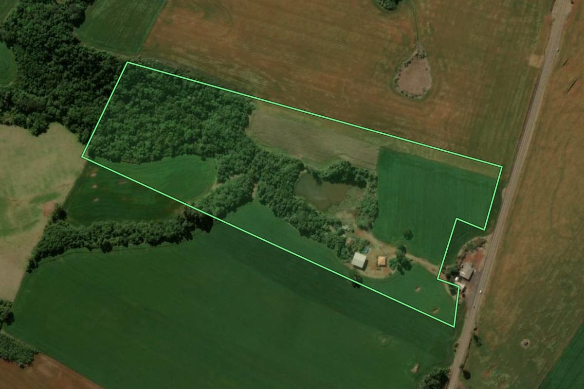 Imagem de satélite do imóvel rural em Manoel Ribas (PR), com o contorno declarado no CAR desenhado por cima.