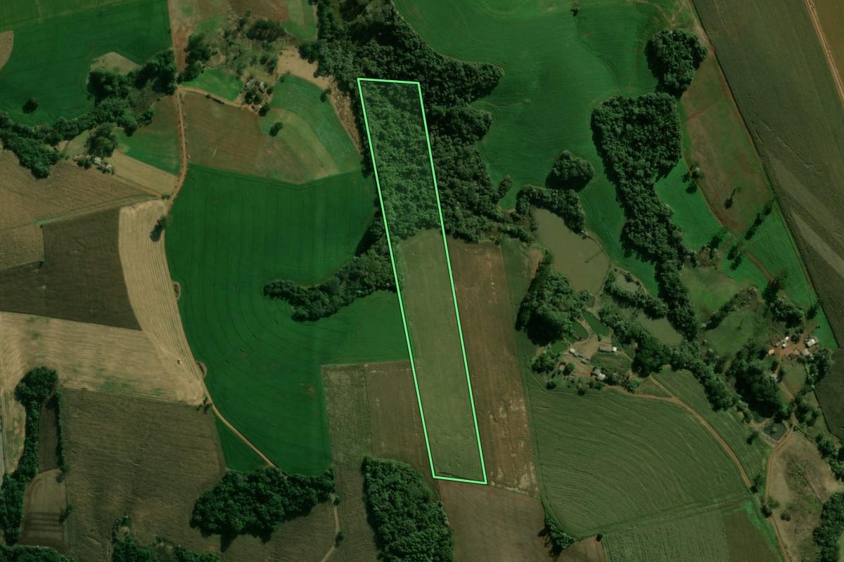 Imagem de satélite do imóvel rural em Manoel Ribas (PR), com o contorno declarado no CAR desenhado por cima.