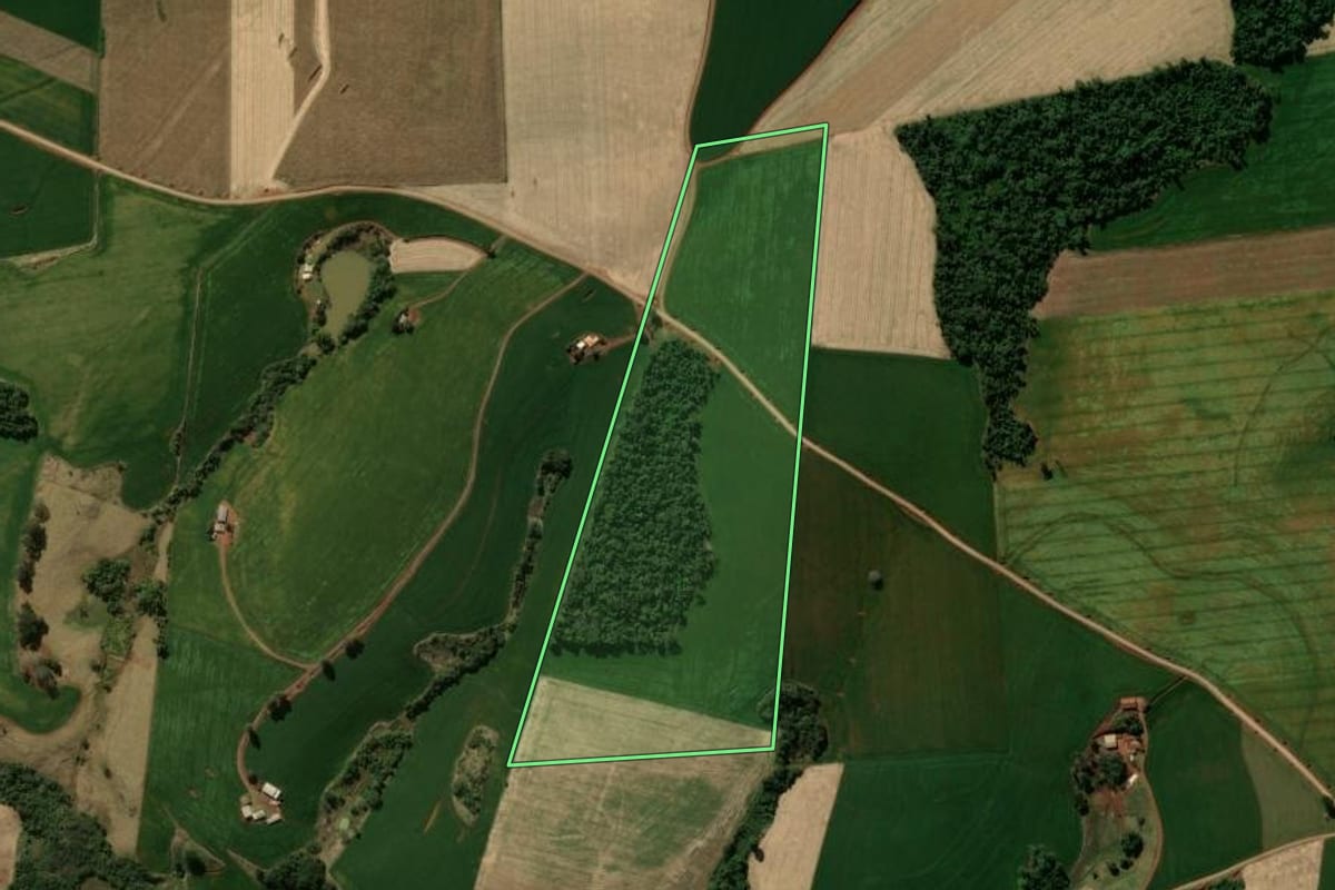 Imagem de satélite do imóvel rural em Manoel Ribas (PR), com o contorno declarado no CAR desenhado por cima.