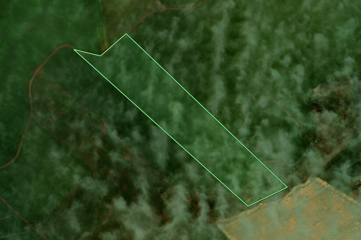 Imagem de satélite do imóvel rural em Manoel Ribas (PR), com o contorno declarado no CAR desenhado por cima.