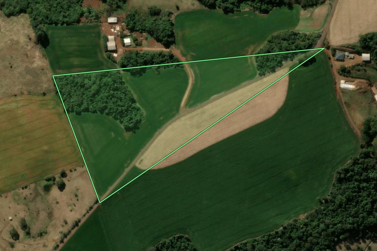 Imagem de satélite do imóvel rural em Manoel Ribas (PR), com o contorno declarado no CAR desenhado por cima.