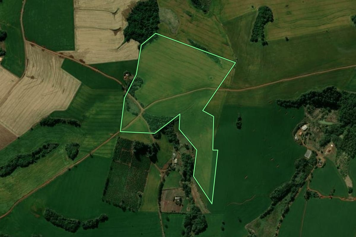 Imagem de satélite do imóvel rural em Manoel Ribas (PR), com o contorno declarado no CAR desenhado por cima.