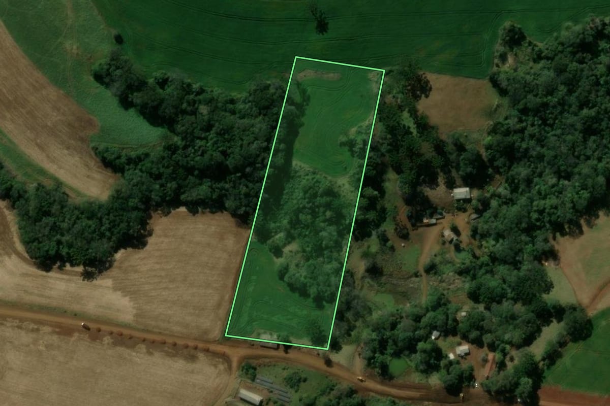Imagem de satélite do imóvel rural em Manoel Ribas (PR), com o contorno declarado no CAR desenhado por cima.
