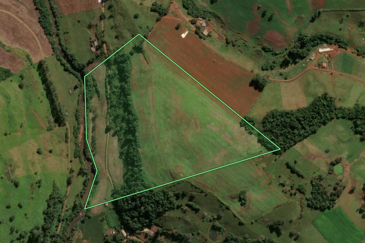 Imagem de satélite do imóvel rural em Manoel Ribas (PR), com o contorno declarado no CAR desenhado por cima.