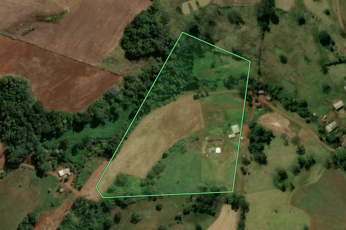 Imagem de satélite do imóvel rural em Manoel Ribas (PR), com o contorno declarado no CAR desenhado por cima.
