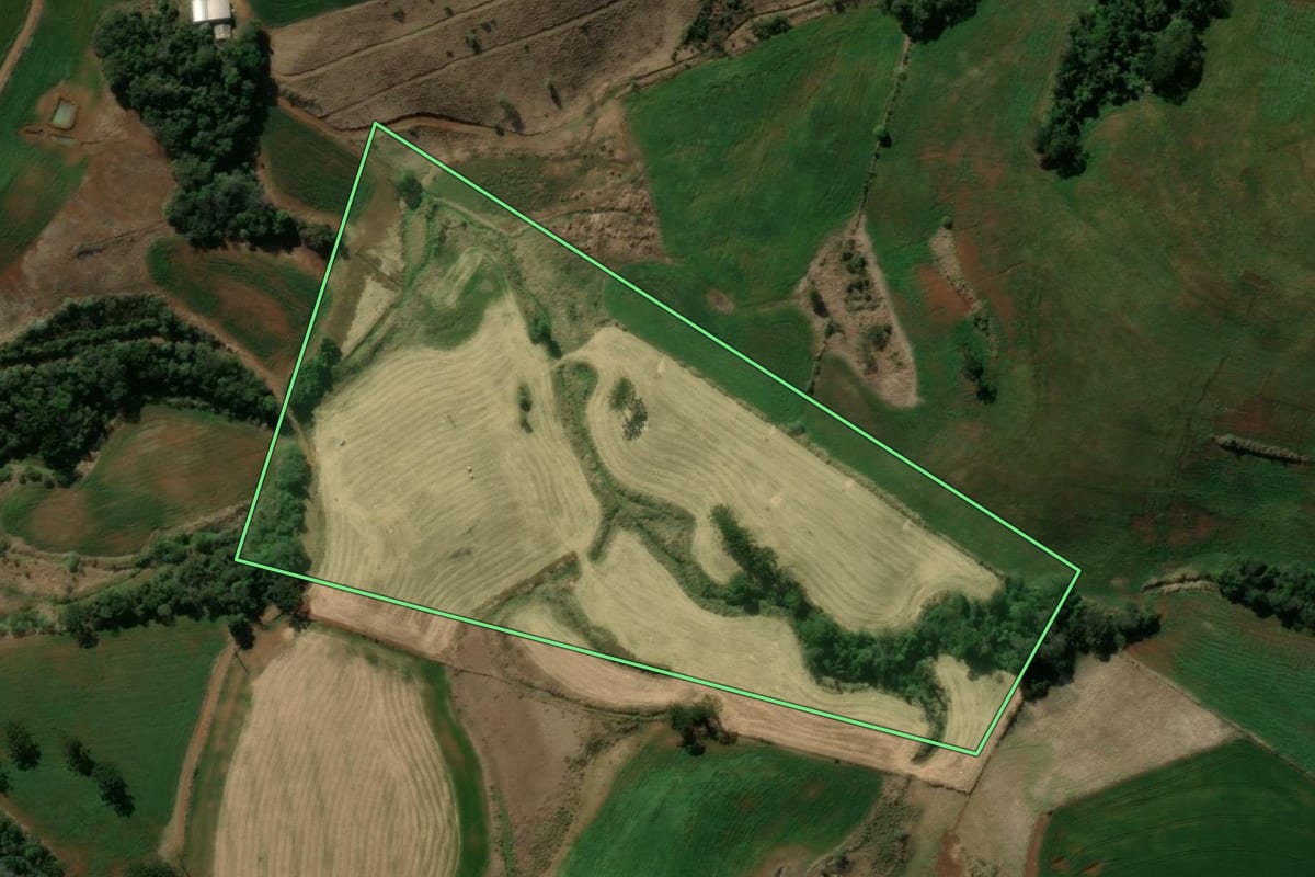Imagem de satélite do imóvel rural em Manoel Ribas (PR), com o contorno declarado no CAR desenhado por cima.